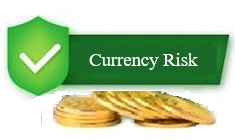 Currency-Risk